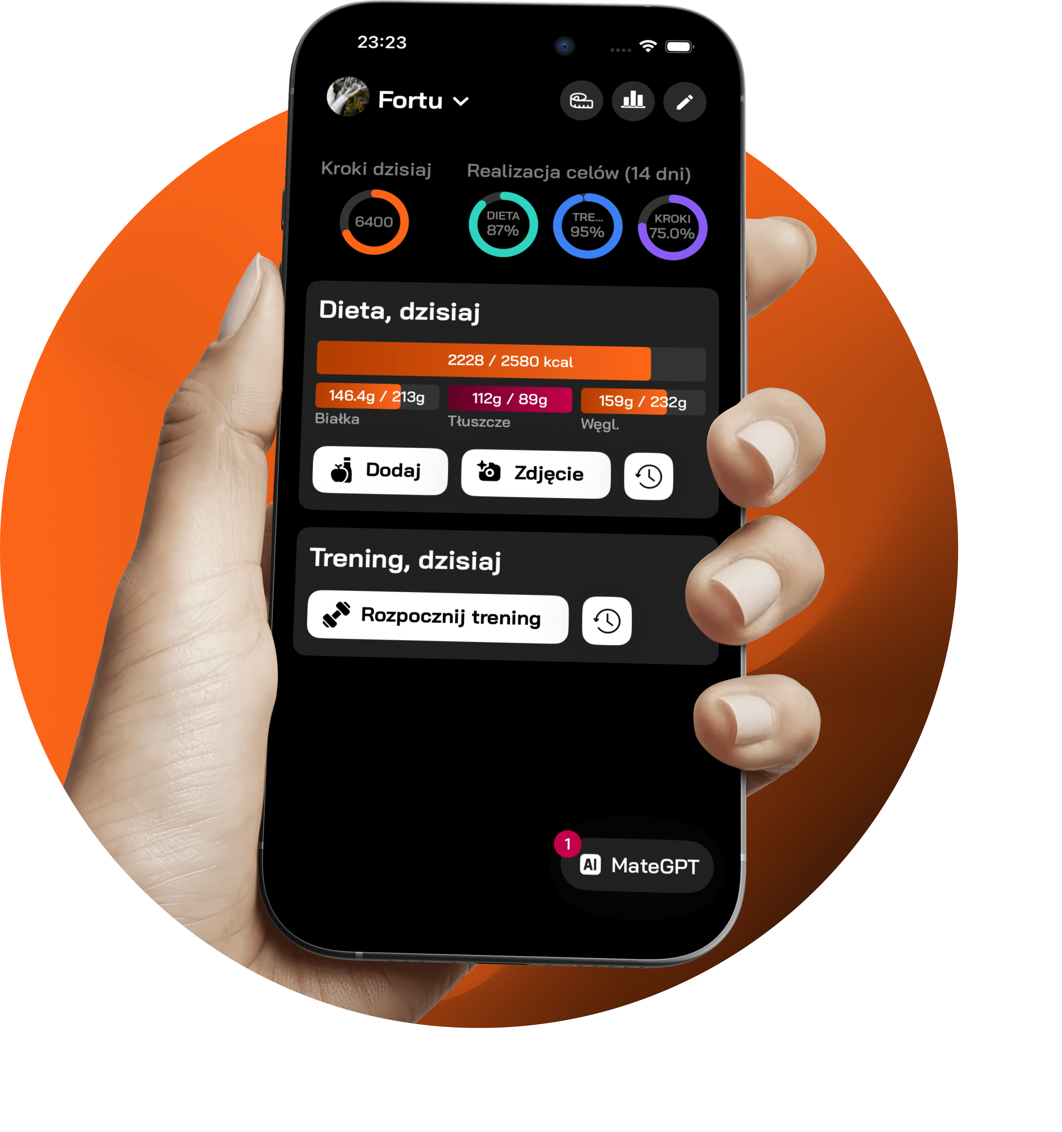 Zrzut ekranu z historią posiłków